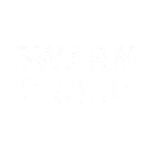 Экосистема «SWARM GROUP»